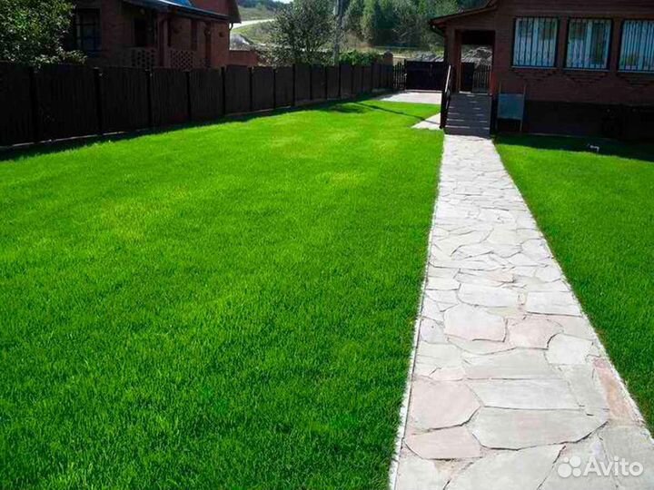 Укладка газона