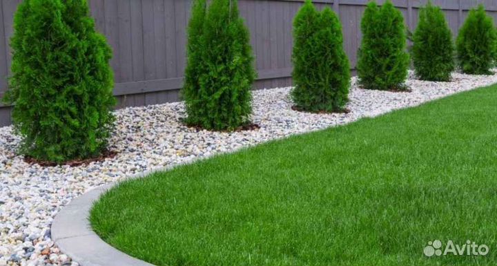 Укладка и продажа газона