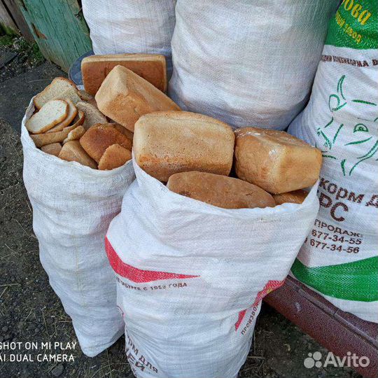 Хлеб для корма