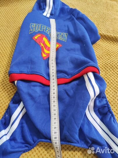 Одежда для собак+шлейка