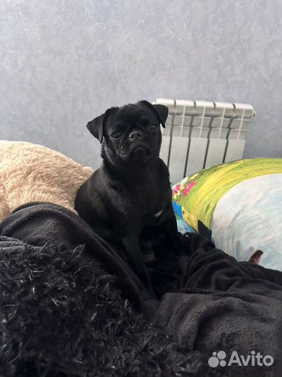 Вязка,девочка