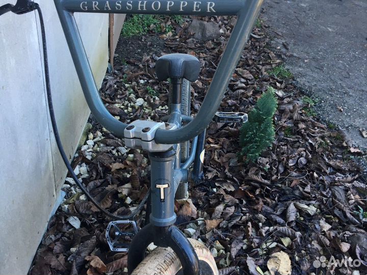 Bmx grasshopper 2020