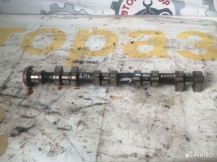 Распредвал выпуск Opel Astra G, X20XEV