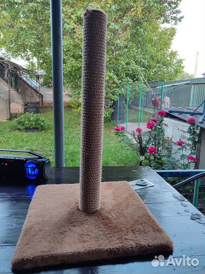 Когтеточка