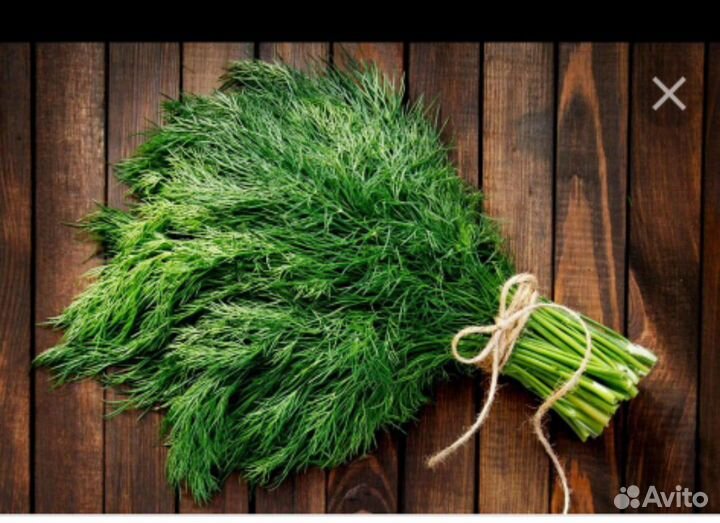Семена укропа