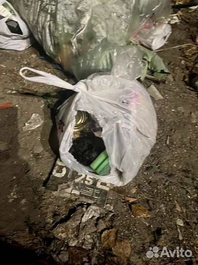 Отдам котят бесплатно в добрые руки