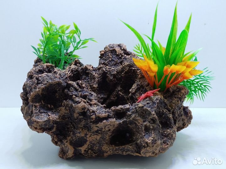 Стильное оформление аквариума - Аквасалон Дискус