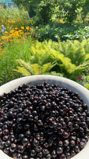 Дача 46 м² на участке 7 сот.