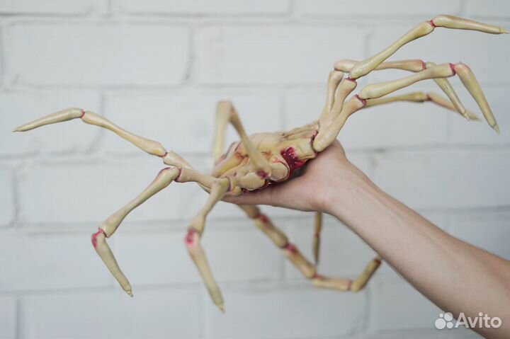 Фейсхаггер/Лицехват из 