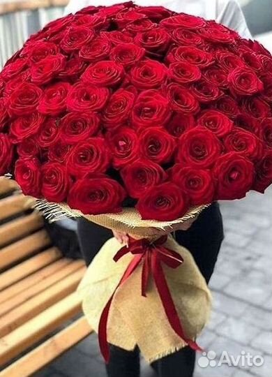 Высокие розы