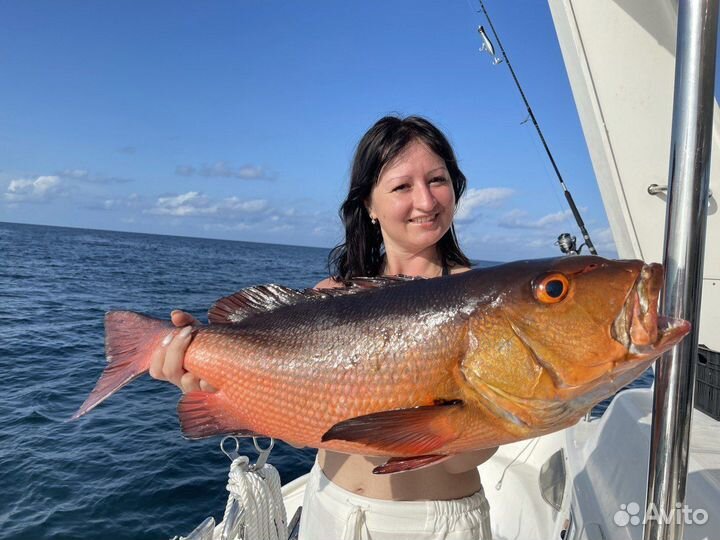 Отдых на Мальдивах с семьей и рыбалкой