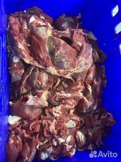 Котлетное мясо без кости