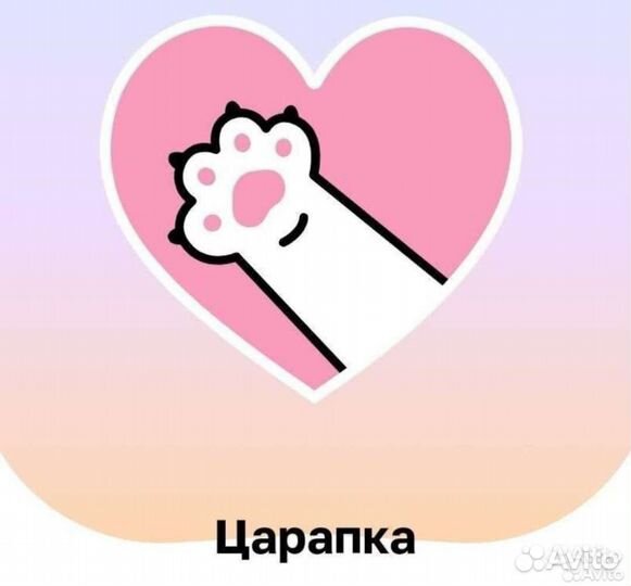 Стикерсы магнит