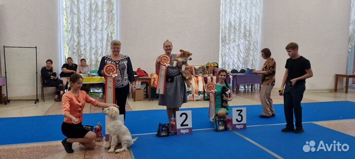 Крошечная девчушка