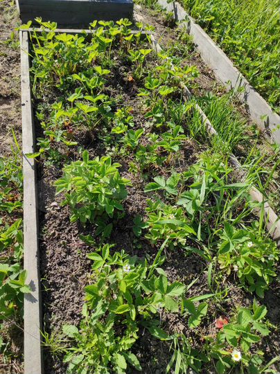 Участок 9,96 га (СНТ, ДНП)