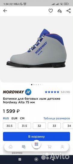 Лыжные ботинки nordway 34