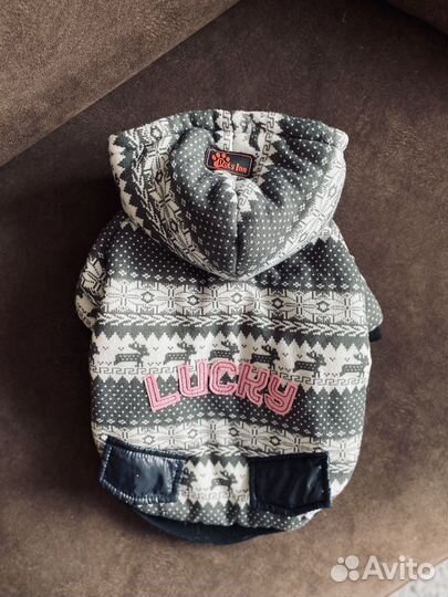 Одежда для собак