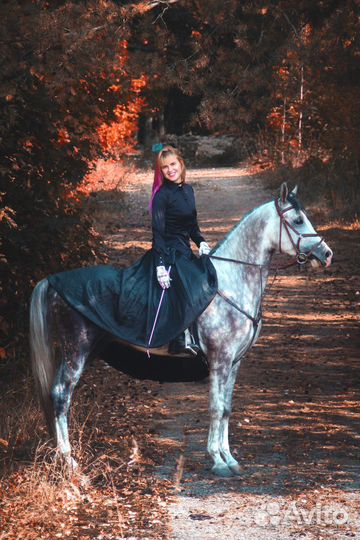 Продам лошадь