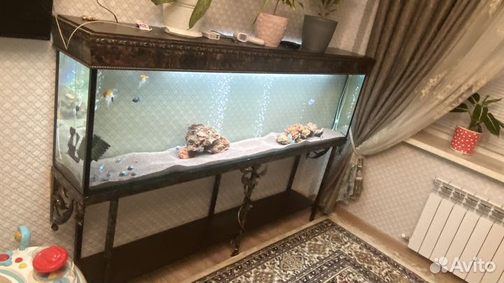 Аквариум 380л