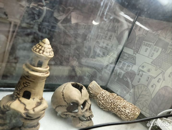 Аквариум 60л