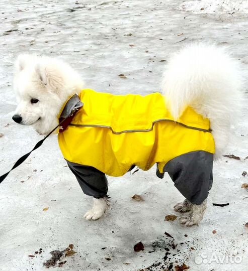 Продам плащ-дождевик для собак