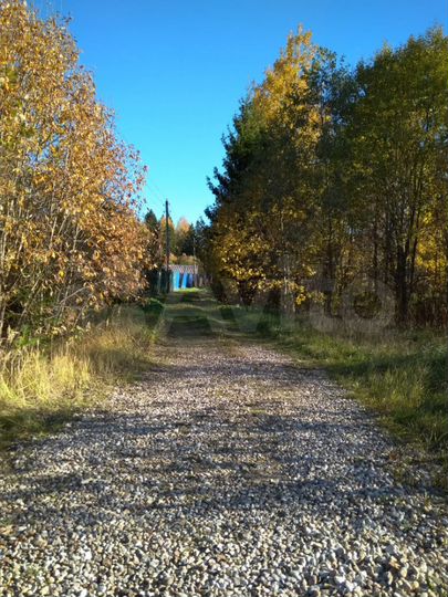 Участок 8 сот. (СНТ, ДНП)