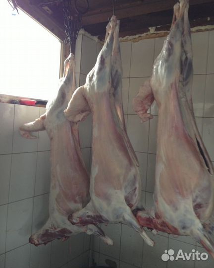 Баранина домашняя