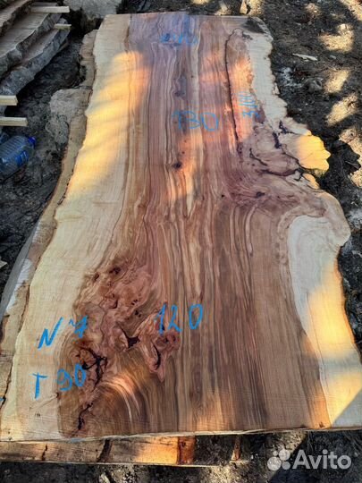 Слэбы капового гигантского чинара в наличии