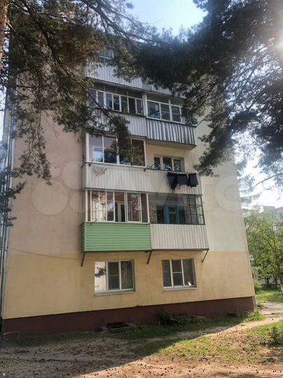 3-к. квартира, 50,6 м², 2/5 эт.