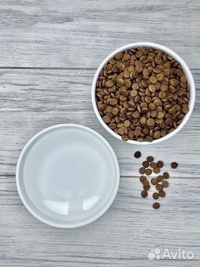 Миска керамическая для кошек и собак