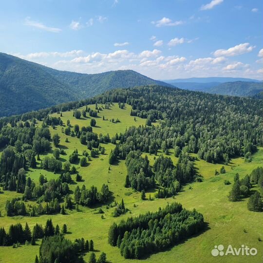 Ресторан, гостиница
