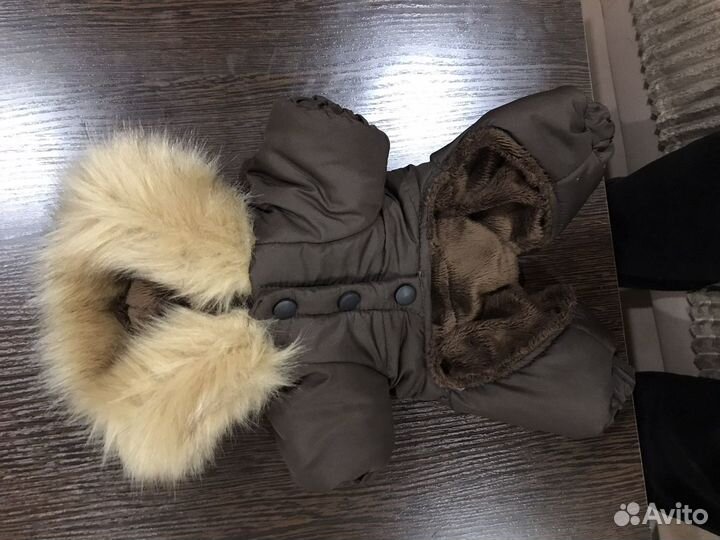 Комбинезон для маленькой собаки