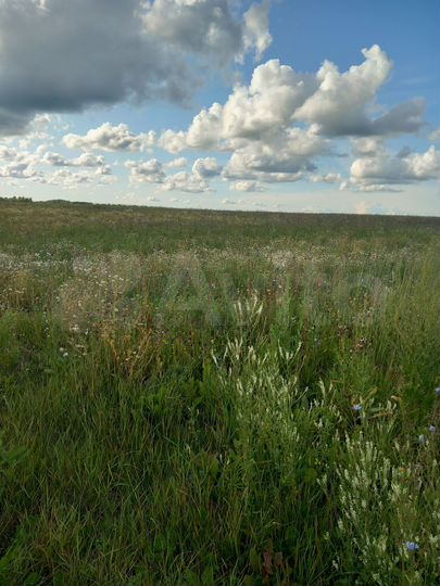 Участок 2,24 га (СНТ, ДНП)