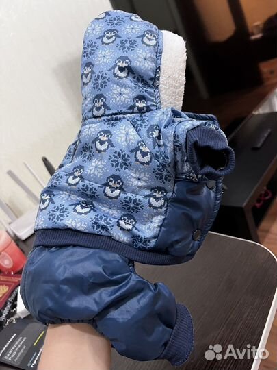 Одежда для маленьких собак