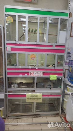 Витрина для домашних животных