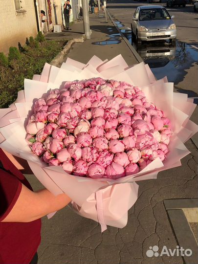 101шт Пион/ розы/ гипсофила/ Букет/ цветы