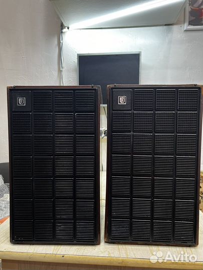 Колонки зас-509