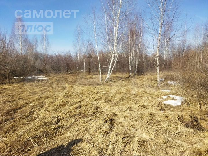 Участок 11,4 сот. (СНТ, ДНП)