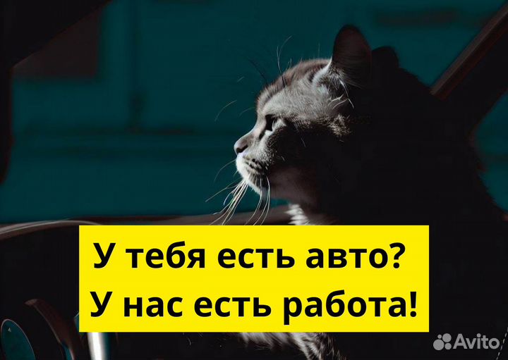 Водитель на личном авто в Яндекс.Go