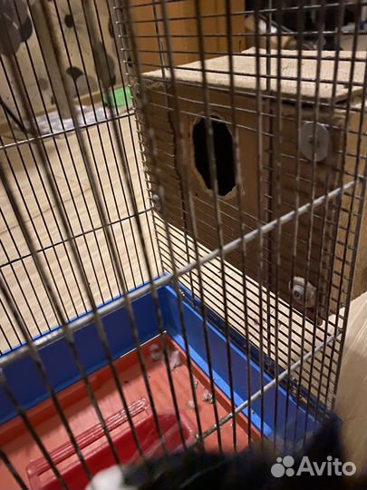 Клетка для попугая