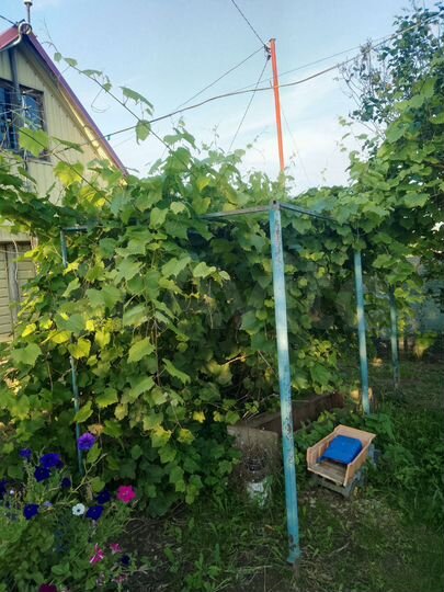 Дом 20 м² на участке 14 сот.