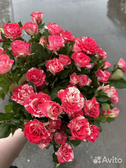 Кустовые розы Сургут доставка цветов