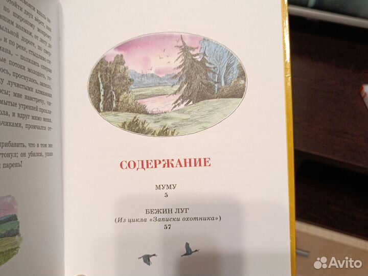 Муму новая книга