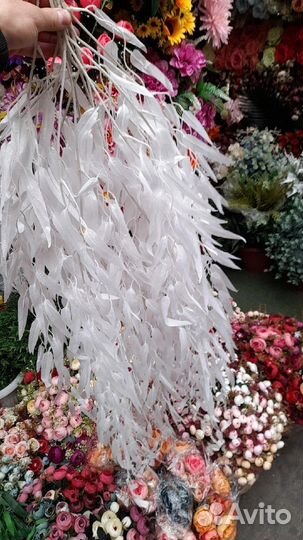 Рускус,лиана,декор на свадьбу )цветы в профиле