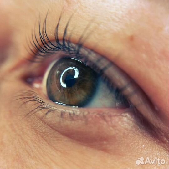 Брови, ресницы