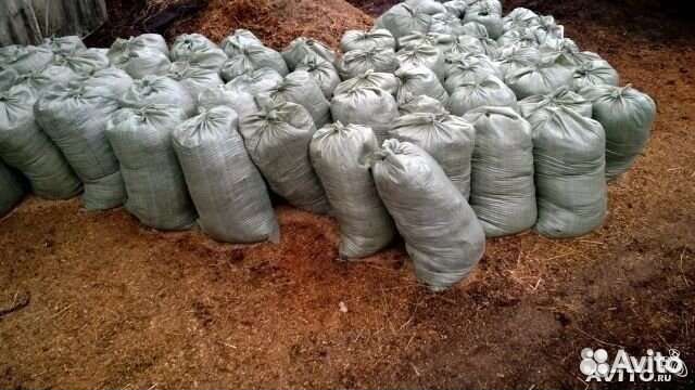 Конский новоз