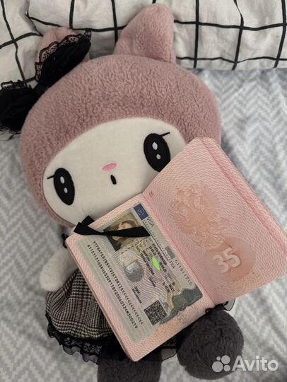 Проконсультирую/помогу с оформлением визы в EC