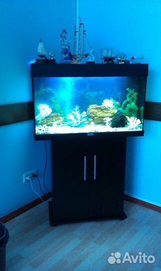 Обслуживание аквариумов