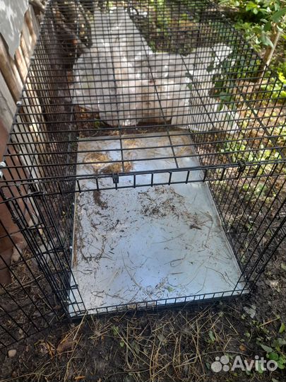 Клетка для собак
