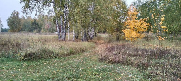 Участок 13 сот. (ИЖС)